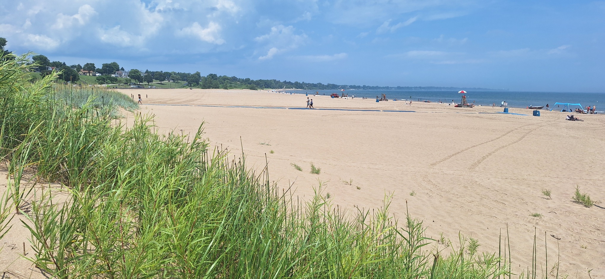 Showing the pristine sands of Racine's North Beach in the distance, with green dune grasses in the foreground.