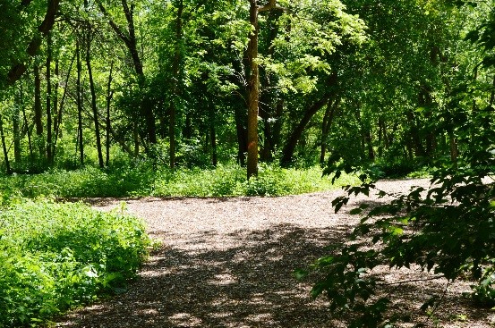 Johnson Dog Park