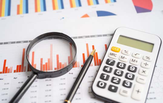 Audited Financial Statements