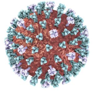 Check Your Measles Vaccination Status Ahead of Spring Break Travel