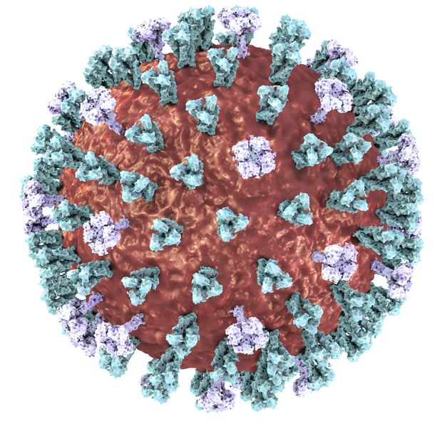 Check Your Measles Vaccination Status Ahead of Spring Break Travel