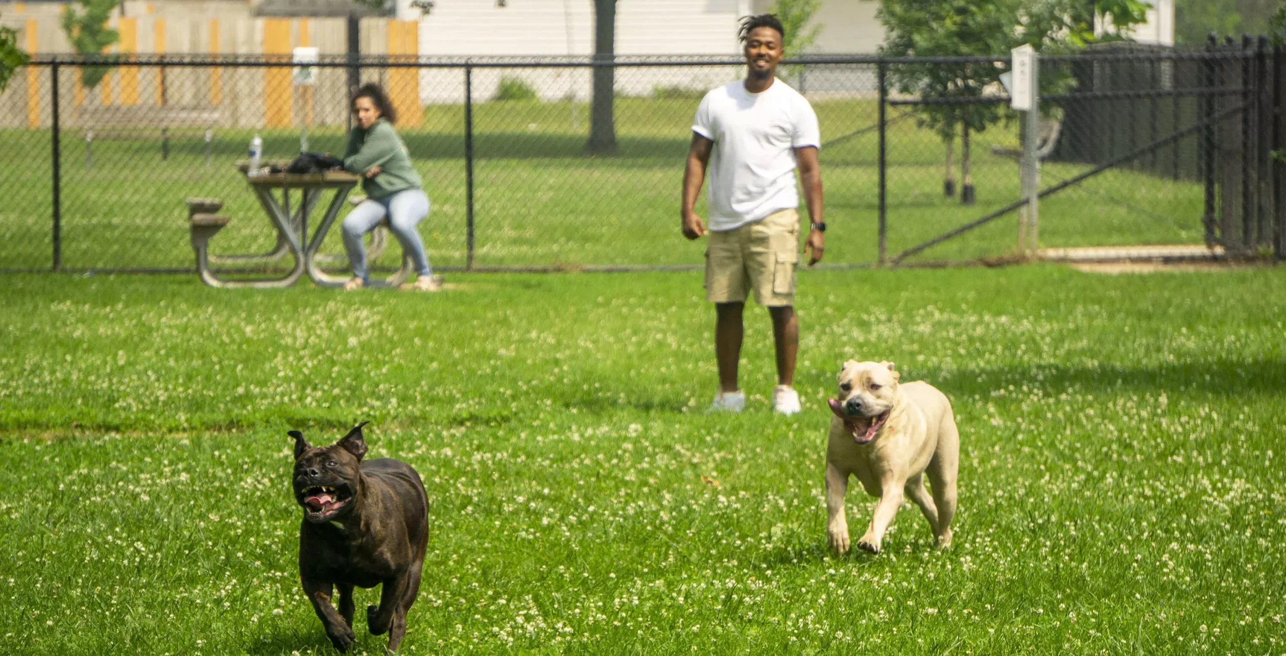 N. Owen Davies Dog Park