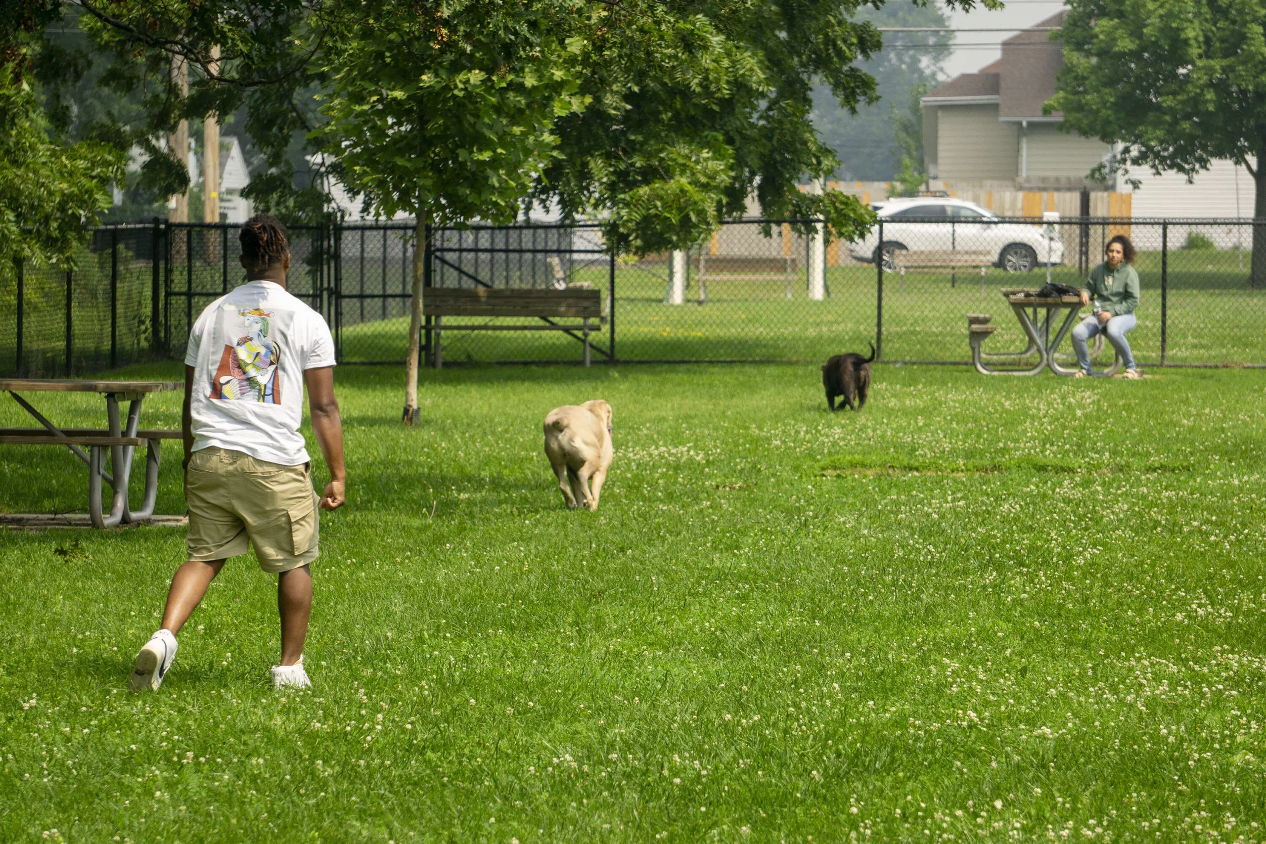 N. Owen Davies Dog Park